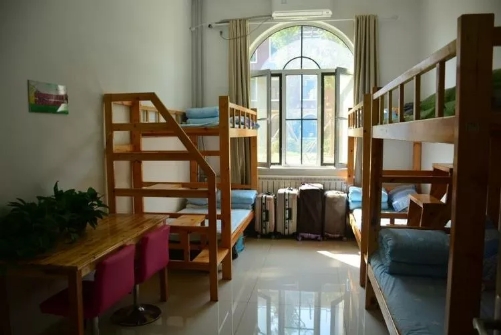 观未来教育,享碧海蓝天--潍坊高新区(上海)新纪元学校综合实践活动